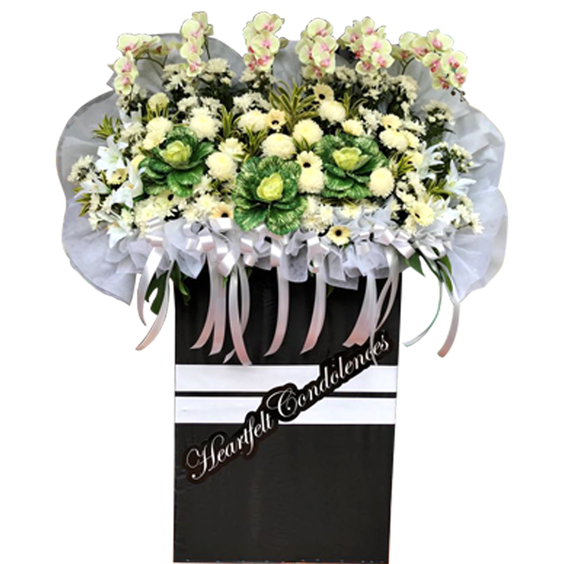 H215 ⭐⭐⭐⭐⭐member discount