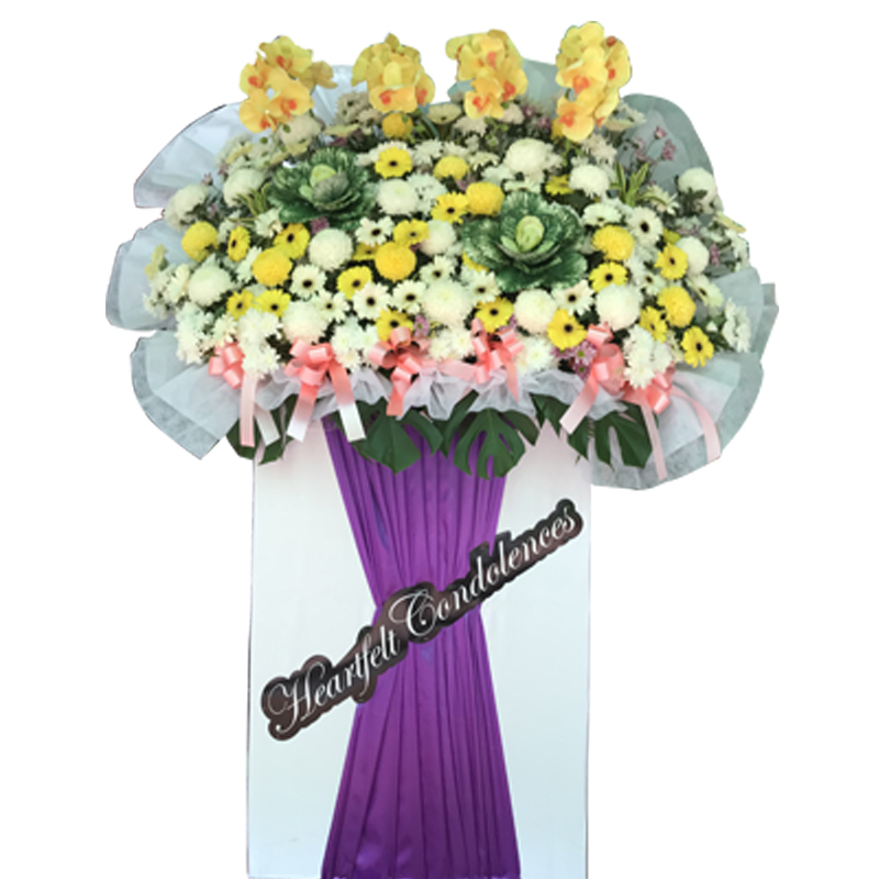 H218 ⭐⭐⭐⭐⭐member discount