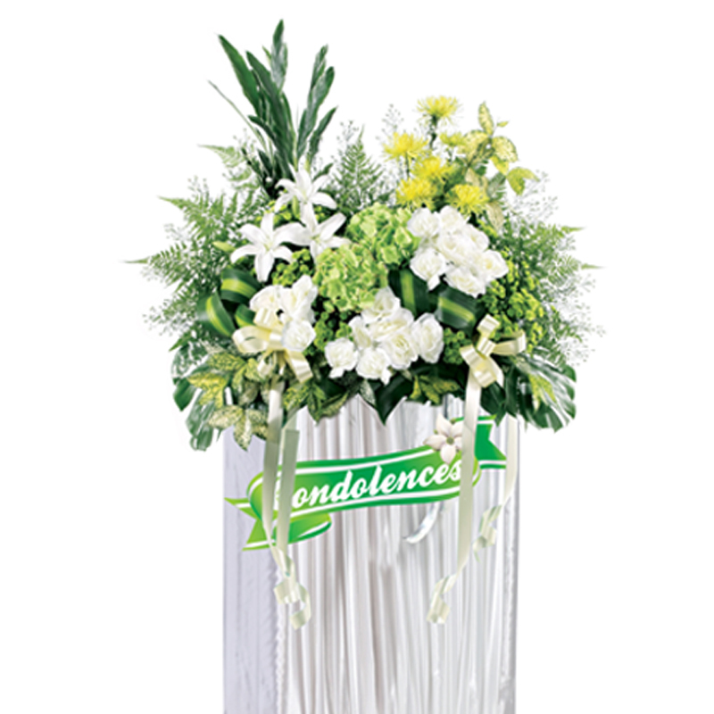 H223 ⭐⭐⭐⭐⭐member discount