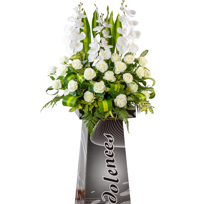 H286 ⭐⭐⭐⭐⭐member discount