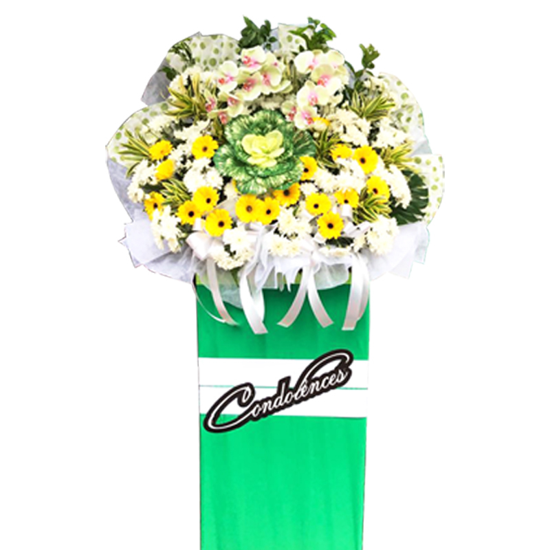 H232 ⭐⭐⭐⭐⭐member discount