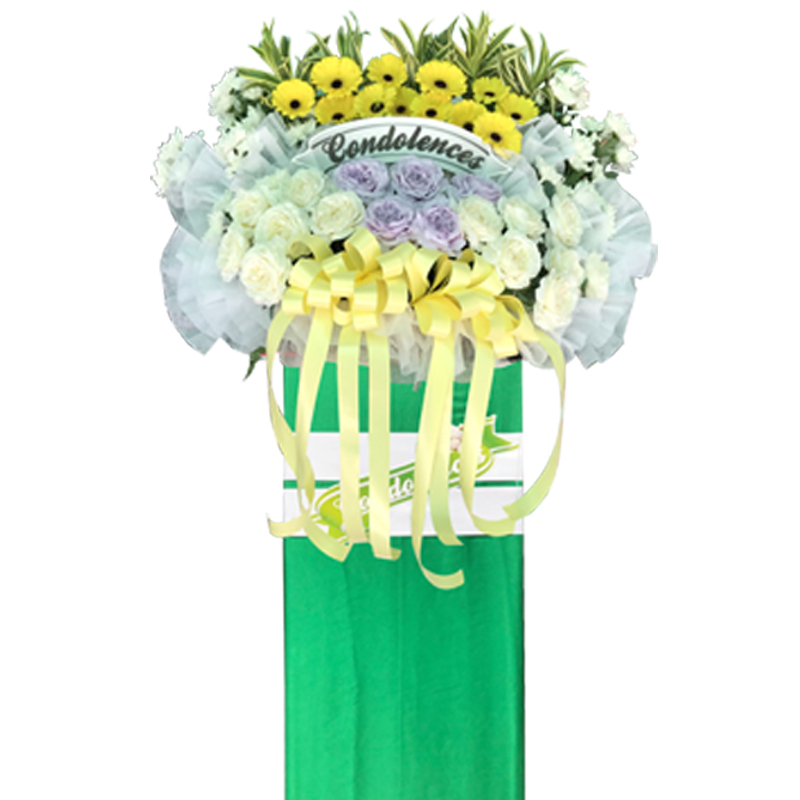 H243 ⭐⭐⭐⭐⭐free delivery