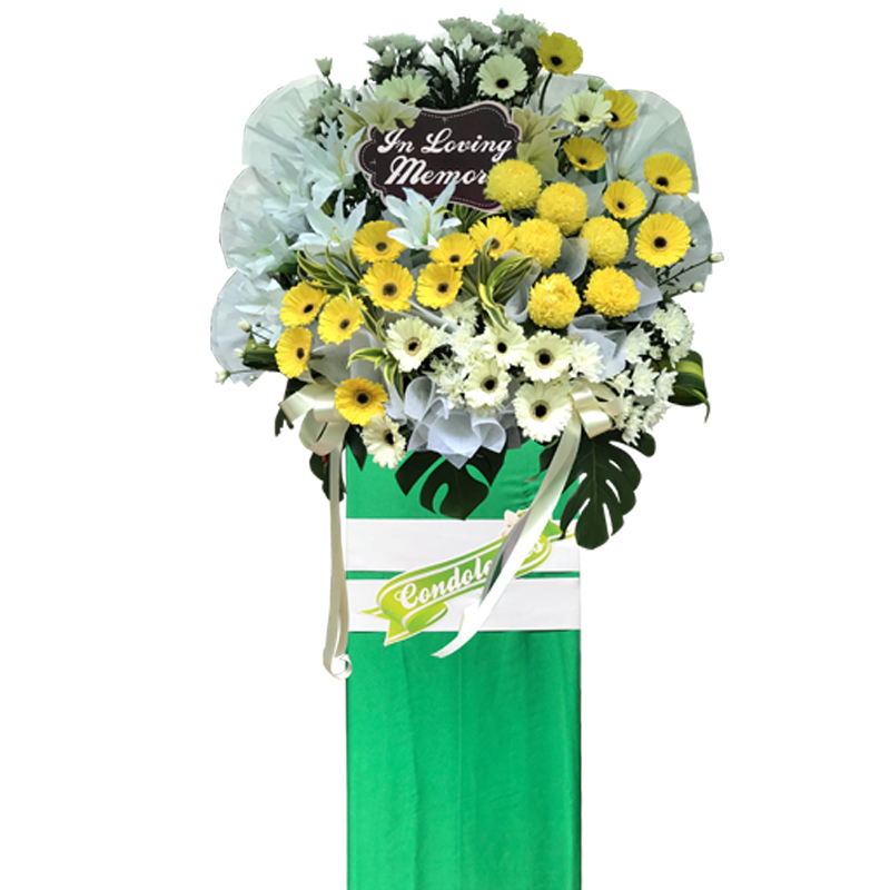 H245 ⭐⭐⭐⭐⭐member discount