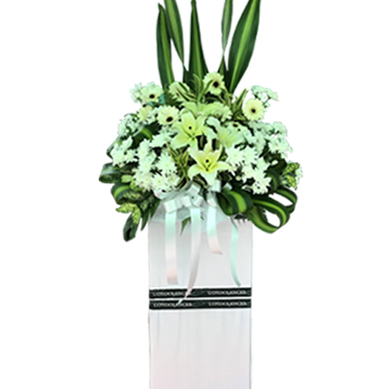 H246 ⭐⭐⭐⭐⭐member discount