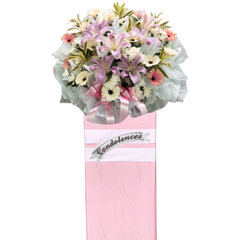 H248 ⭐⭐⭐⭐⭐member discount