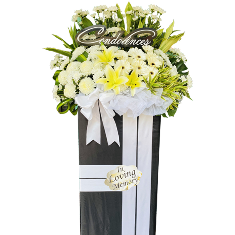 H270 ⭐⭐⭐⭐⭐member discount