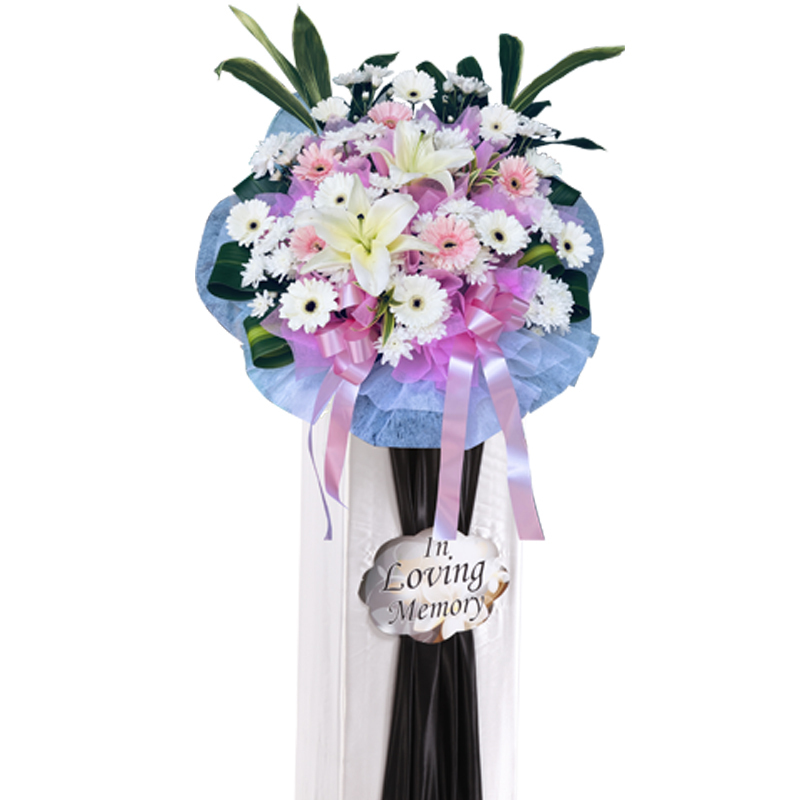 H273 ⭐⭐⭐⭐⭐member discount