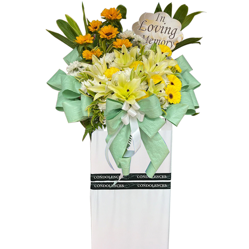 H281 ⭐⭐⭐⭐⭐member discount