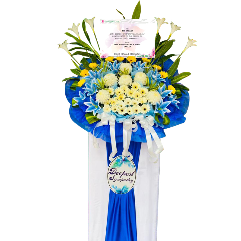 H282 ⭐⭐⭐⭐⭐MEMBER DISCOUNT