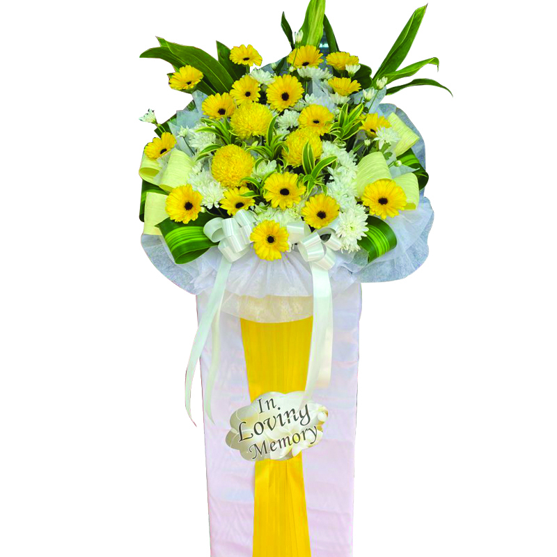 H283 ⭐⭐⭐⭐⭐member discount