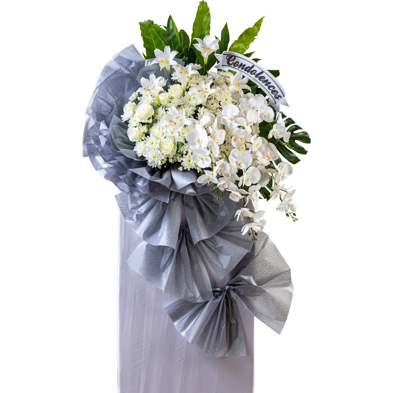 H285 ⭐⭐⭐⭐⭐Free Delivery