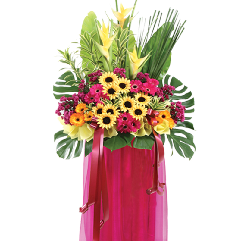 HCB22 ⭐⭐⭐⭐⭐member discount