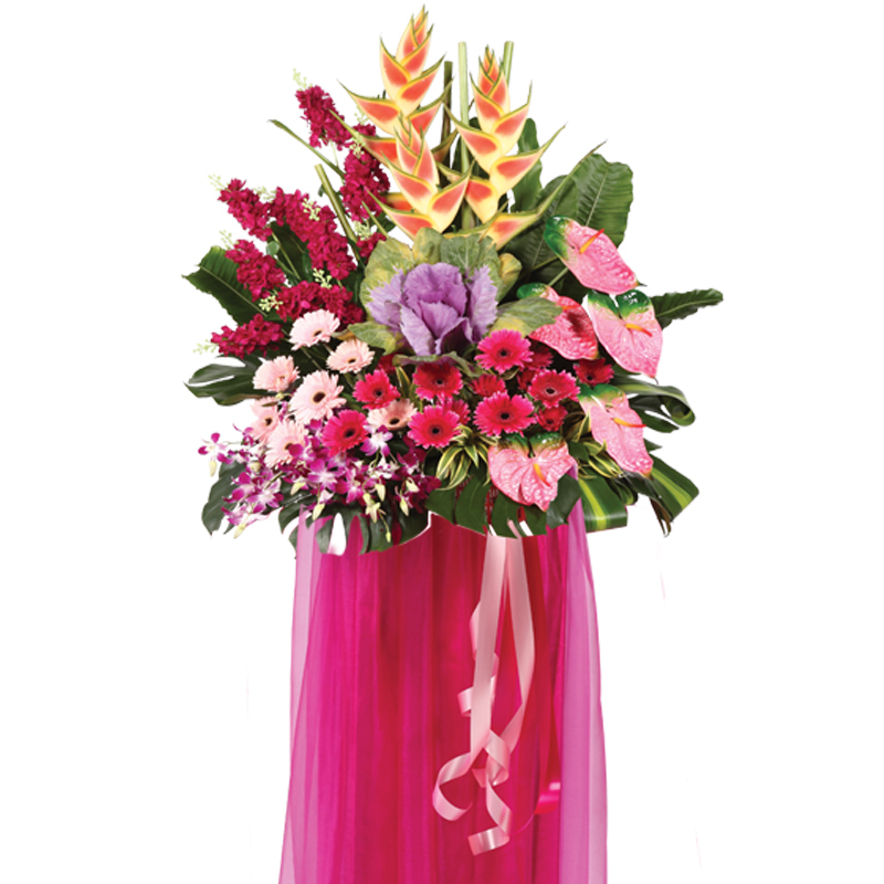 HCB23 ⭐⭐⭐⭐⭐member discount