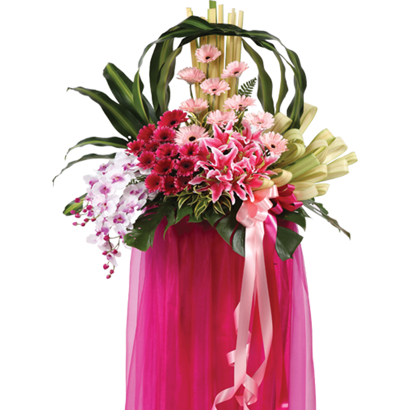 HCB25 ⭐⭐⭐⭐⭐member discount