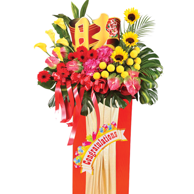 HCB27 ⭐⭐⭐⭐⭐FREE DELIVERY