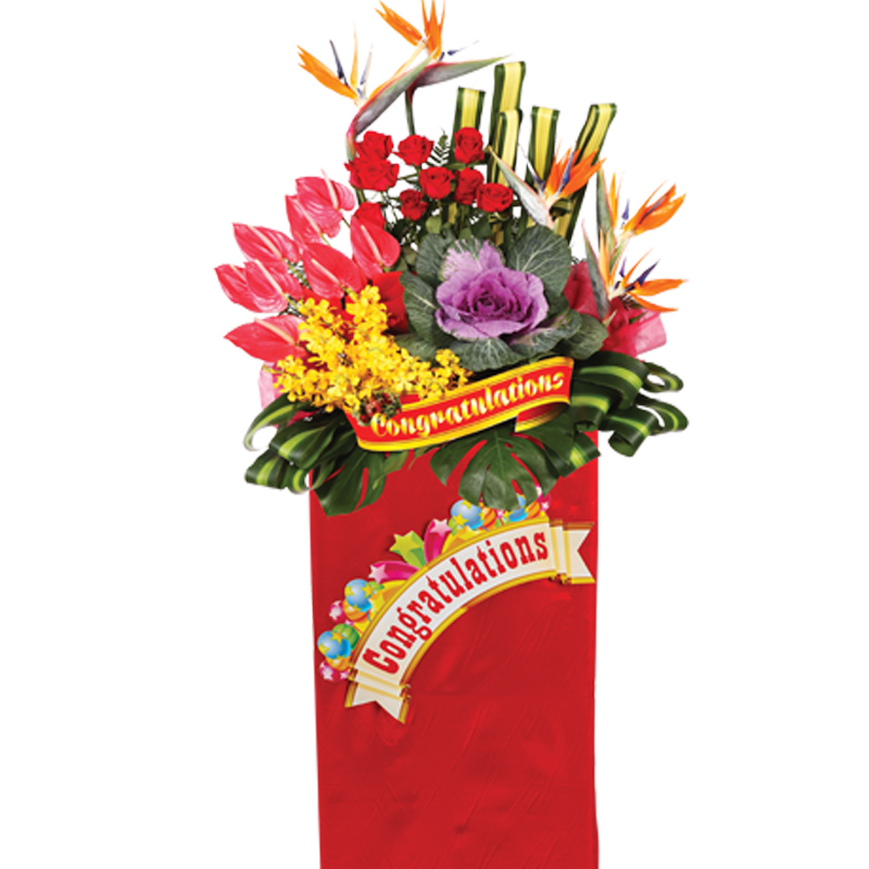 HCB32 ⭐⭐⭐⭐⭐