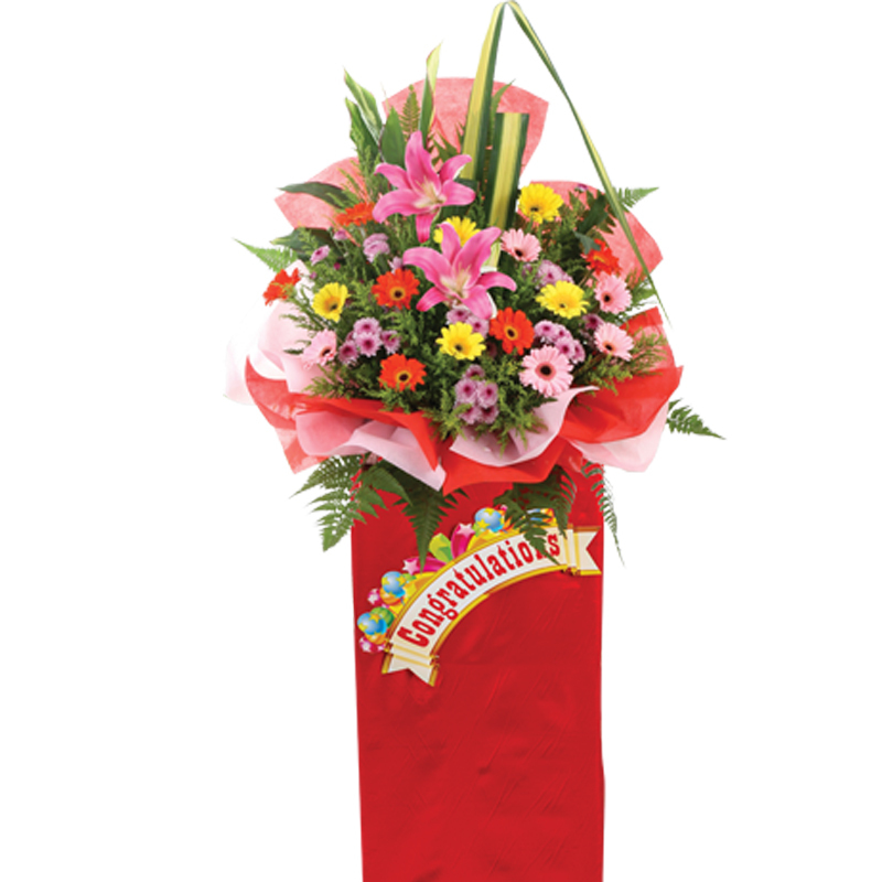 HCB35 ⭐⭐⭐⭐⭐member discount