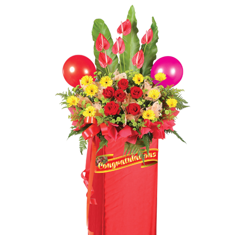 HCB37 ⭐⭐⭐⭐⭐member discount