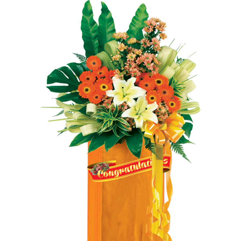 HCB38 ⭐⭐⭐⭐⭐member discount