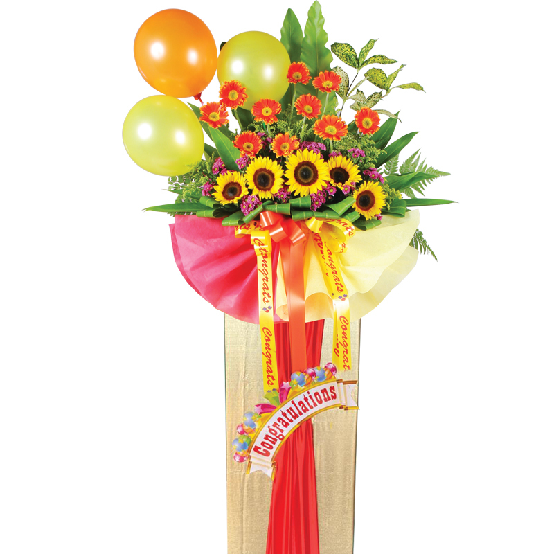 HCB41 ⭐⭐⭐⭐⭐member discount