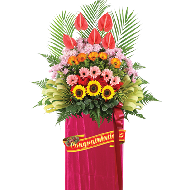 HCB43 ⭐⭐⭐⭐⭐member discount