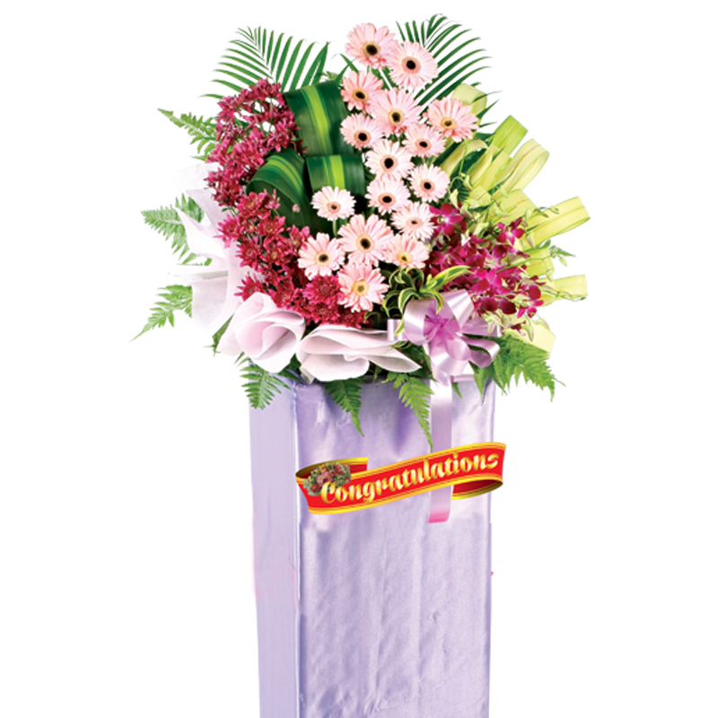 HCB46 ⭐⭐⭐⭐⭐member discount