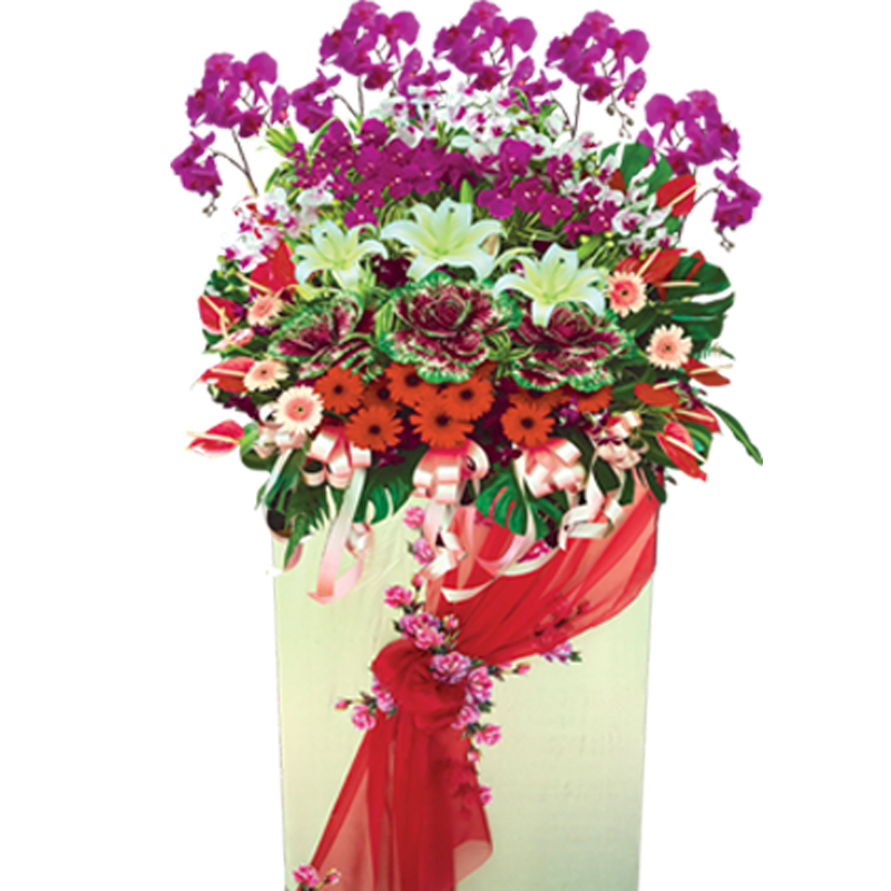 HCB49 ⭐⭐⭐⭐⭐  MEMBER DISCOUNT