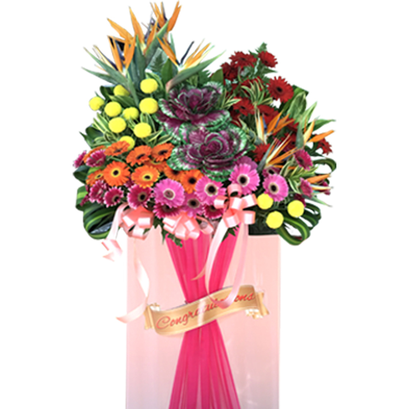 HCB52 ⭐⭐⭐⭐⭐member discount