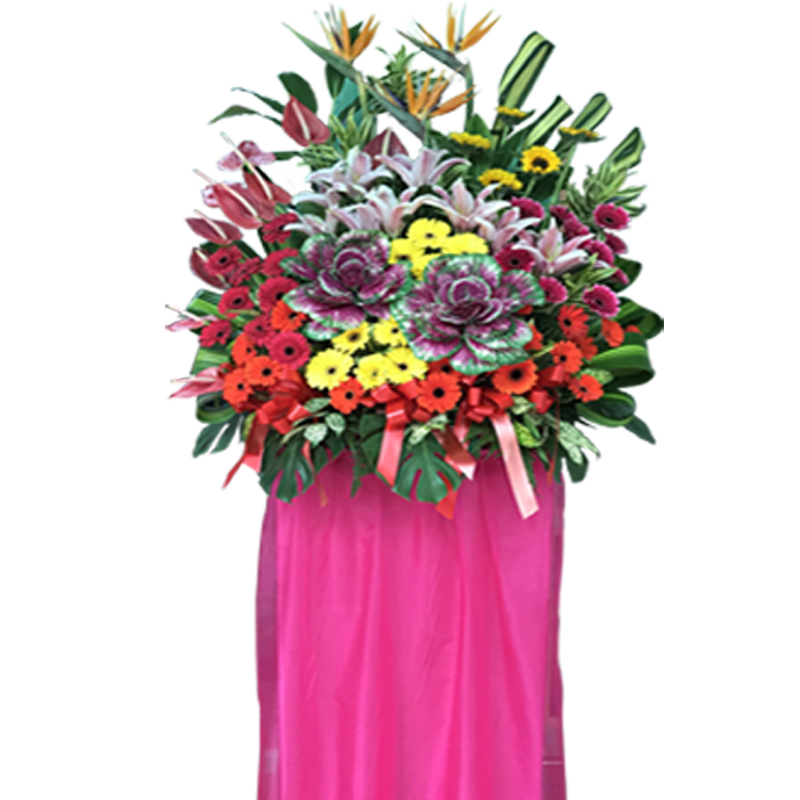 HCB53 ⭐⭐⭐⭐⭐