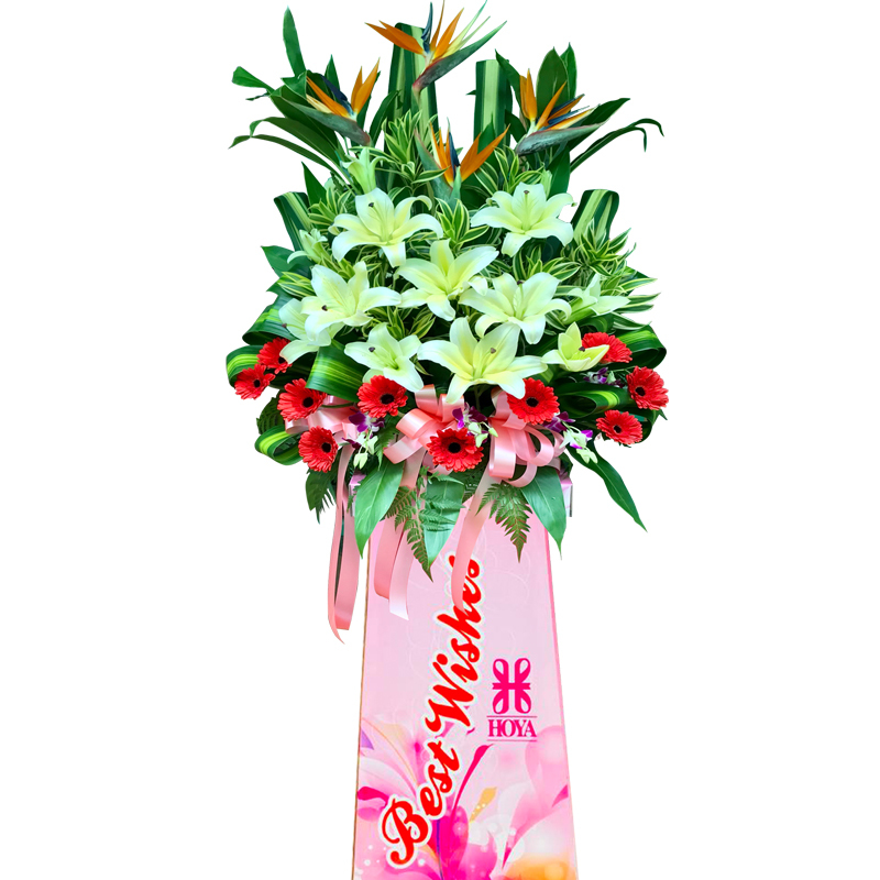 HCB62 ⭐⭐⭐⭐⭐member discount