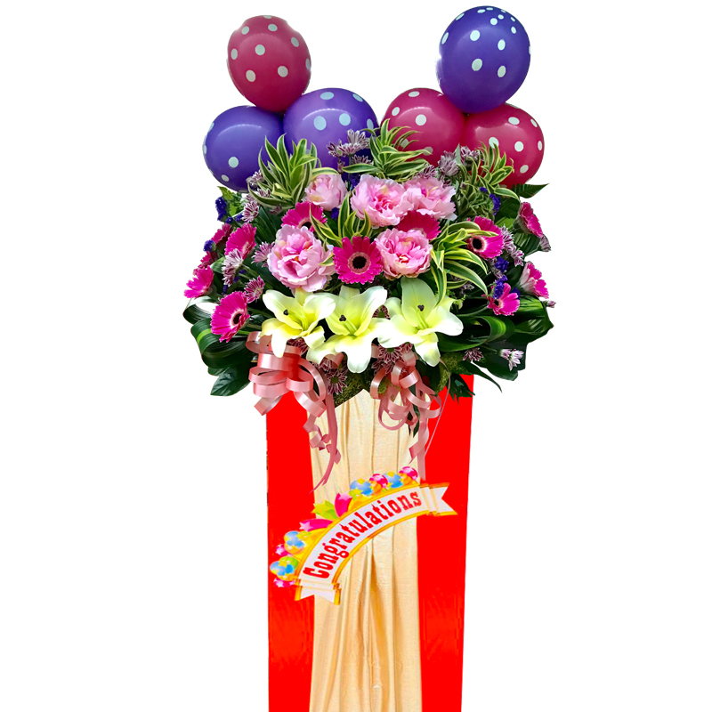 HCB63 ⭐⭐⭐⭐⭐Free Delivery