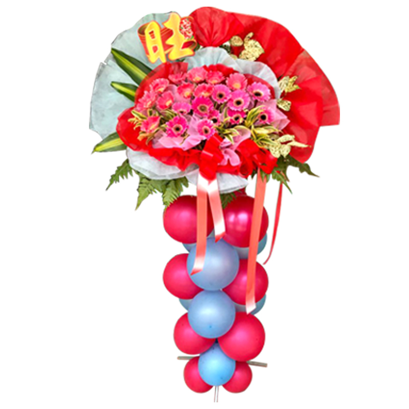 HCB69 ⭐⭐⭐⭐⭐