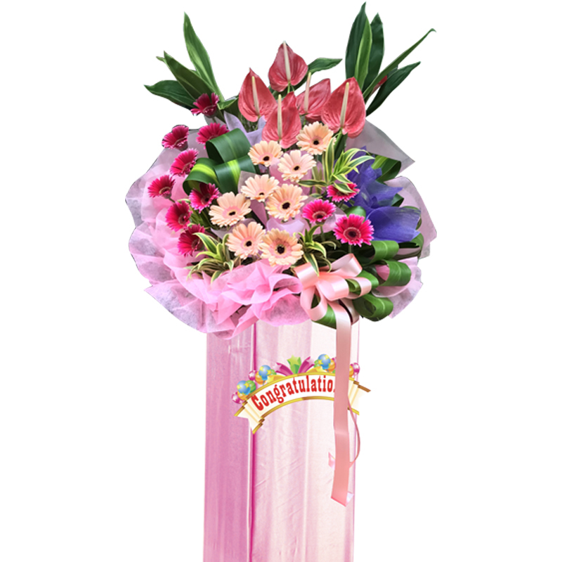 HCB73 ⭐⭐⭐⭐⭐member discount