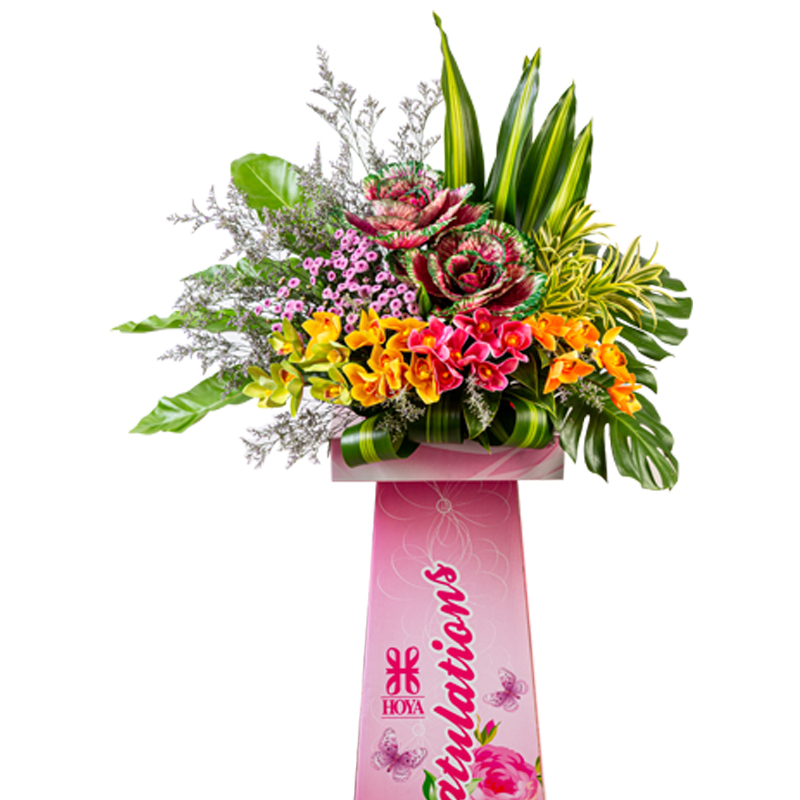 HCB80 ⭐⭐⭐⭐⭐