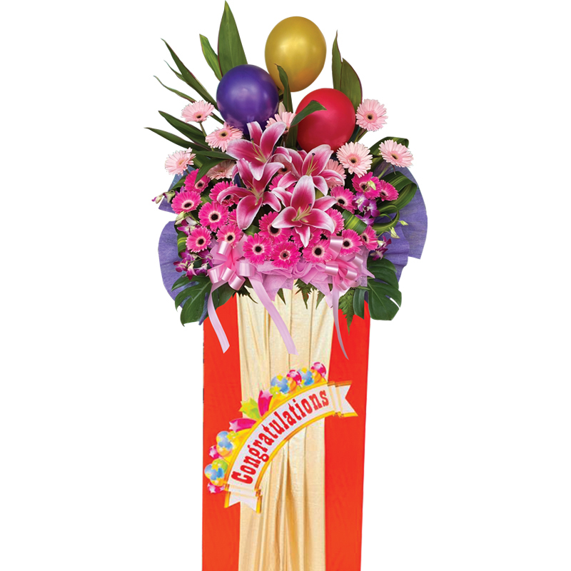 HCB82 ⭐⭐⭐⭐⭐FREE DELIVERY