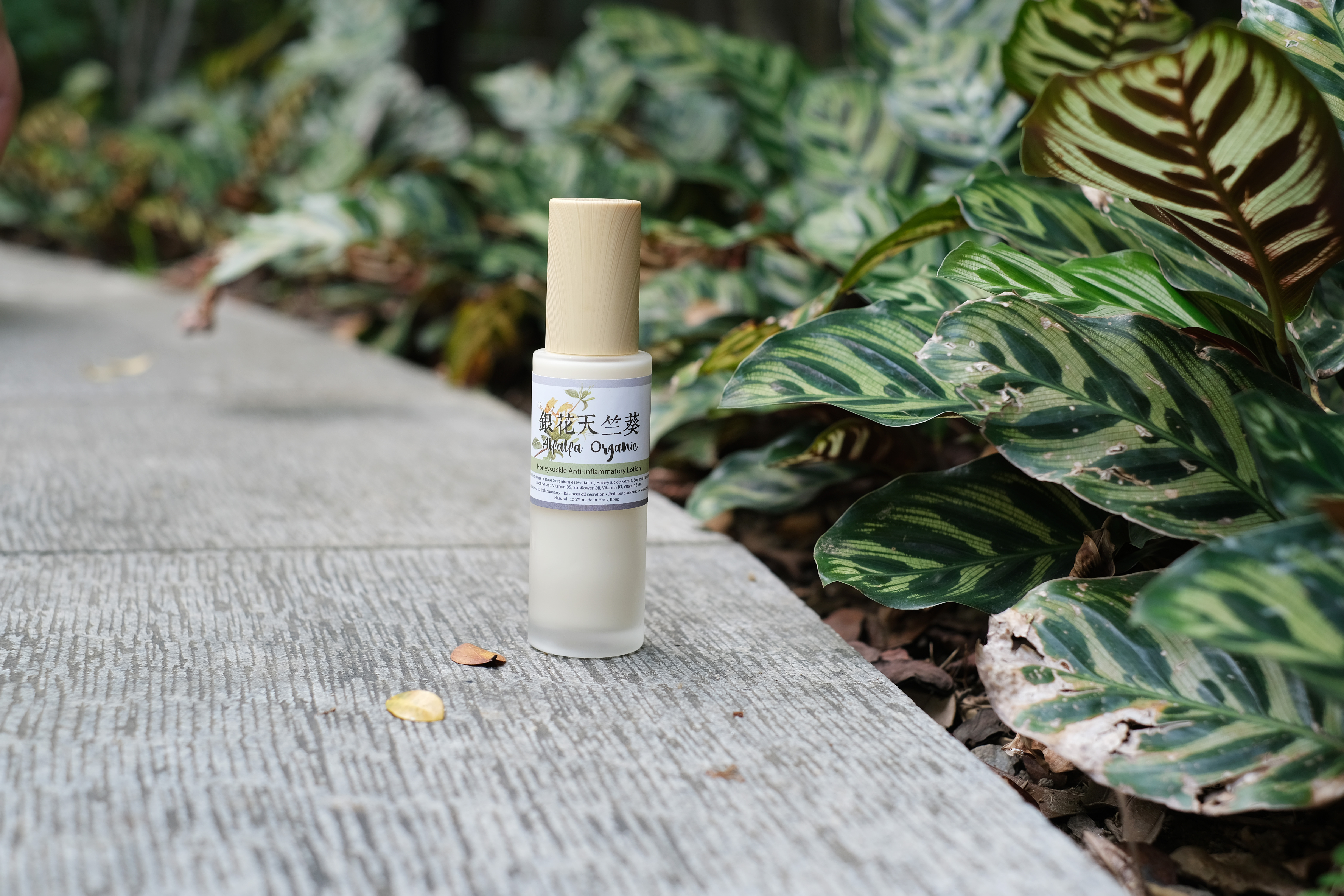 銀花天竺葵消痘透薄乳霜