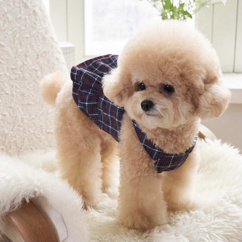 Merry Ribbon英倫風短版-連衣裙-It’s sunny outside