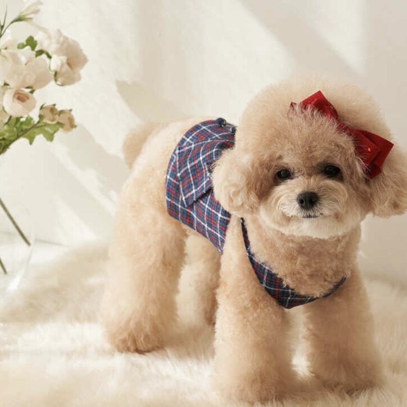 Merry Ribbon英倫風短版-背心-It’s sunny outside