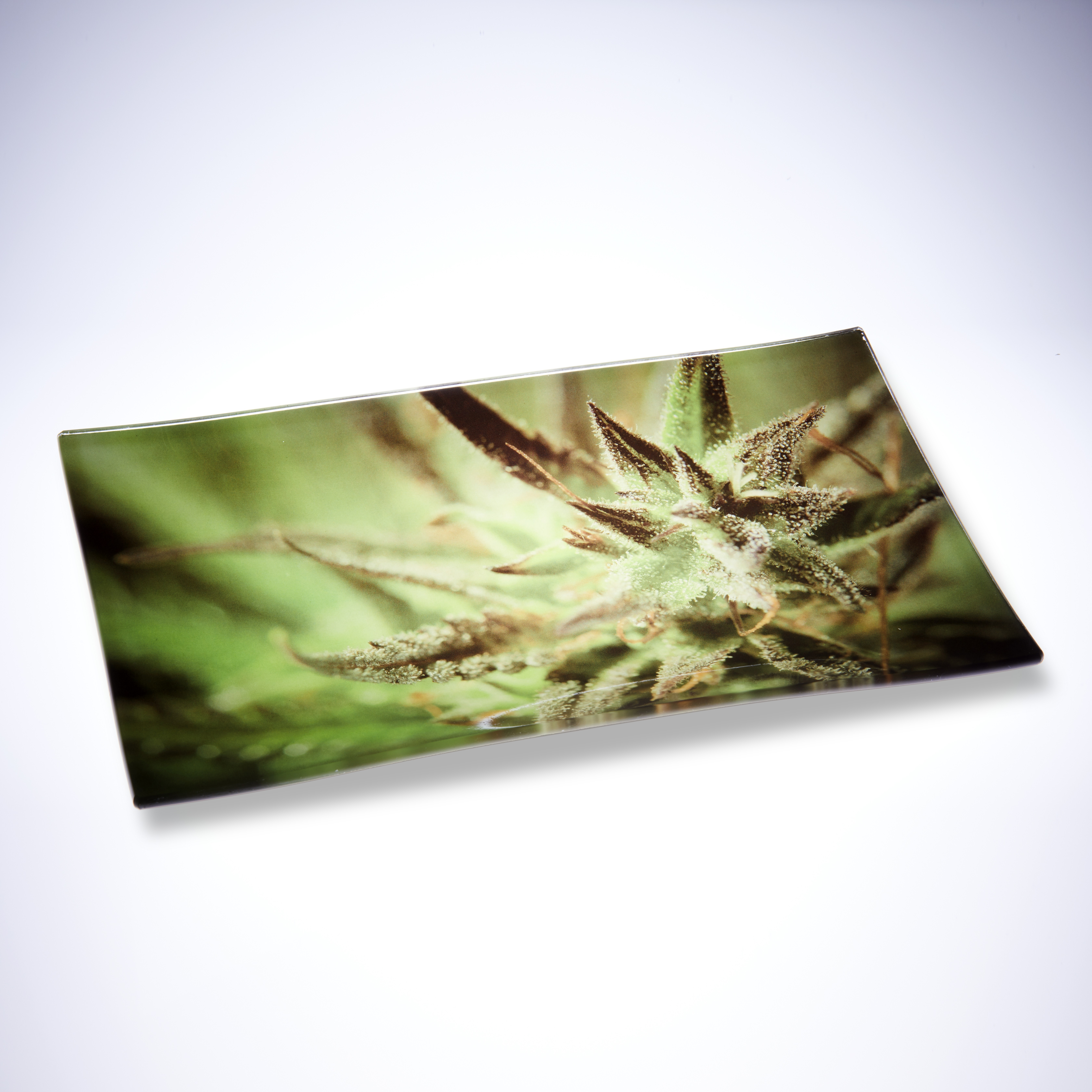 🇹🇼Stoner Smoke Shop -  （Weed）Glass Tray 玻璃捲煙盤
