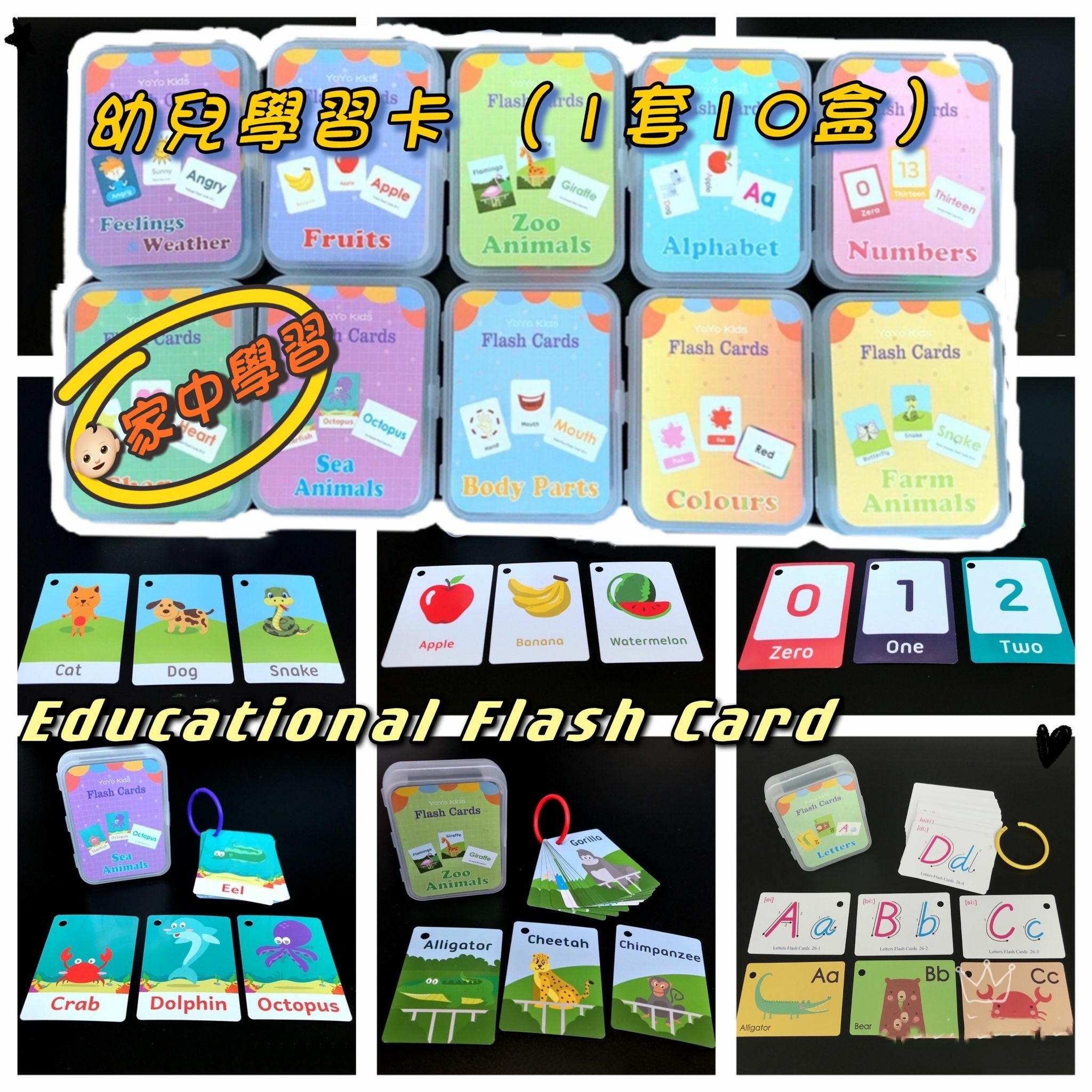 幼兒學習 Educational Flash Card