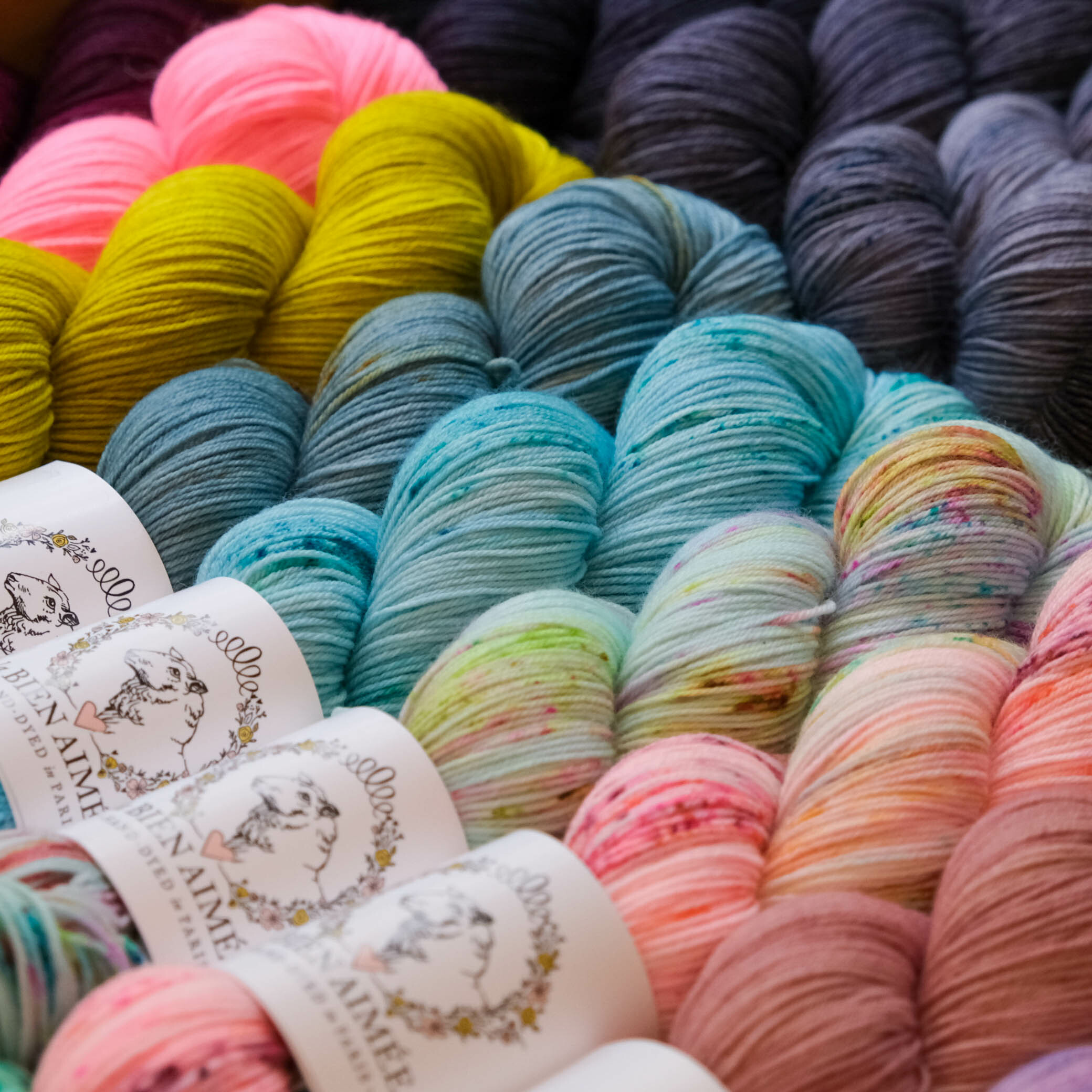 Twist Nouveau 美利諾手染線 - La Bien Aimée