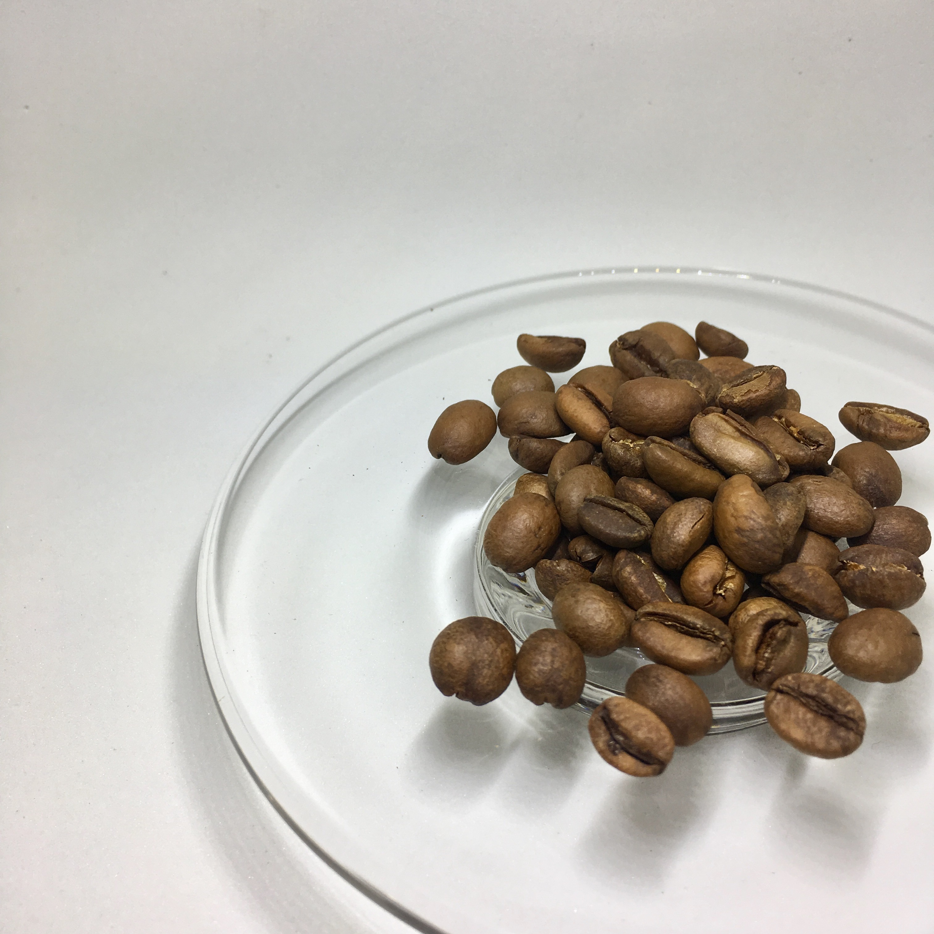 卓武山咖啡農場 藝伎 雙重發酵水洗處理