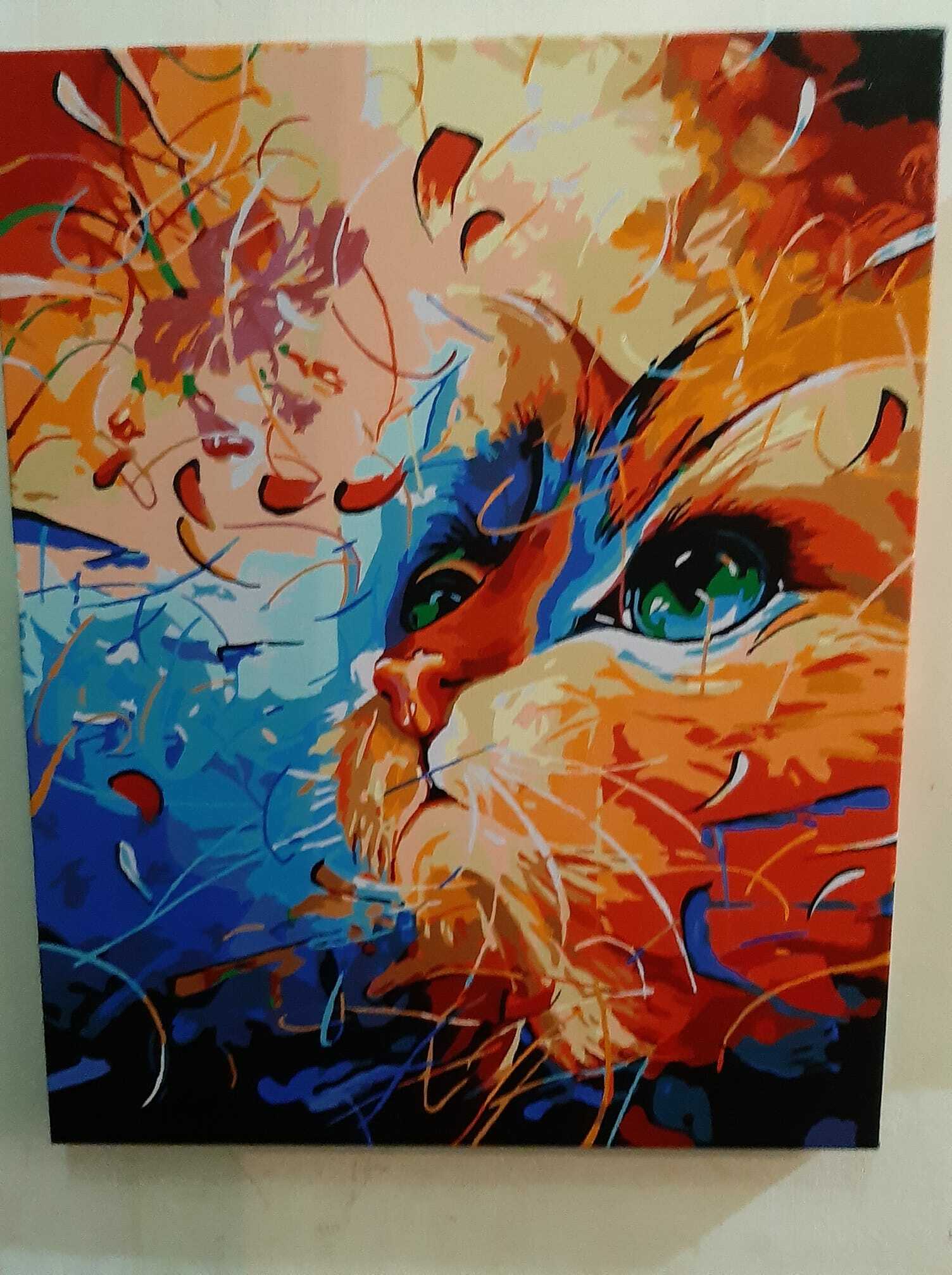 【66484】彩色貓