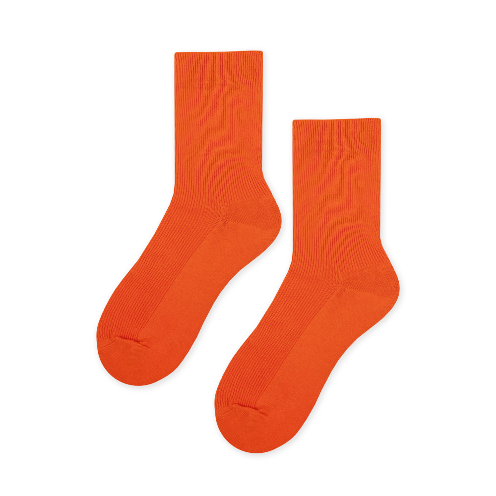 Colorful Life・Angel Red Shrimp