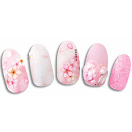 Sha-Nail Pro - OYS-001