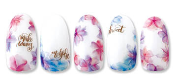 Sha-Nail Pro - RUMI-001