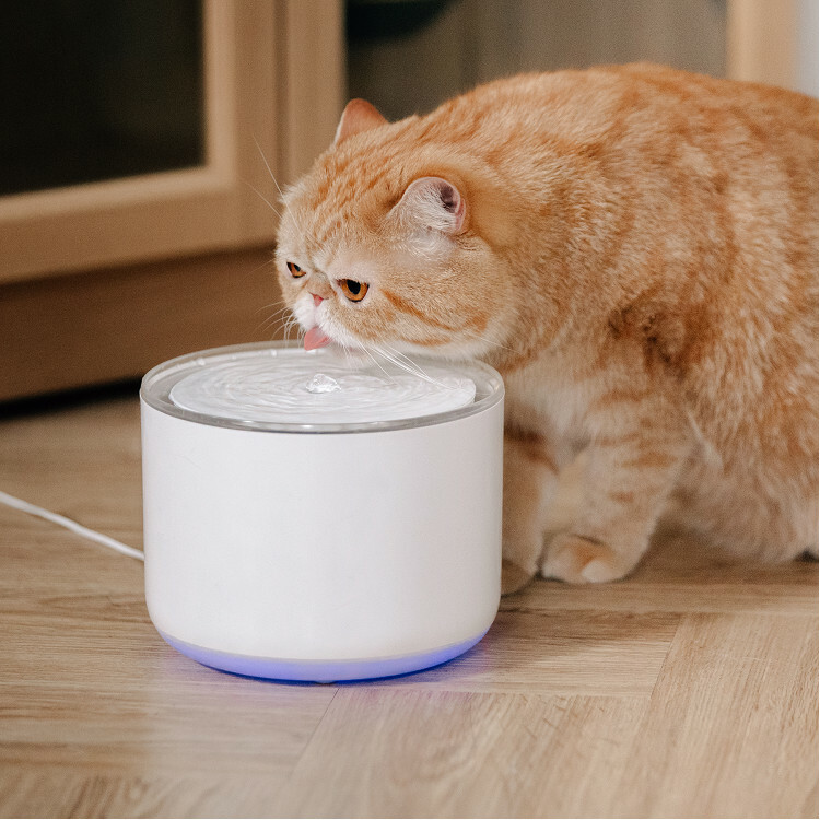 Miiibo Wireless Pump Pet Fountain 1.7L - transparent