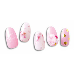 Sha-Nail Pro - SB-001