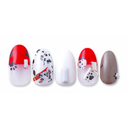 Sha-Nail Pro - DLM-001