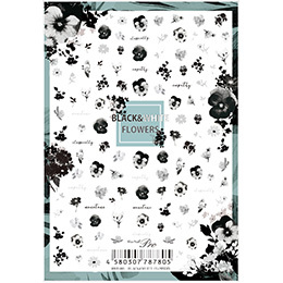 Sha-Nail Pro - BWF-001